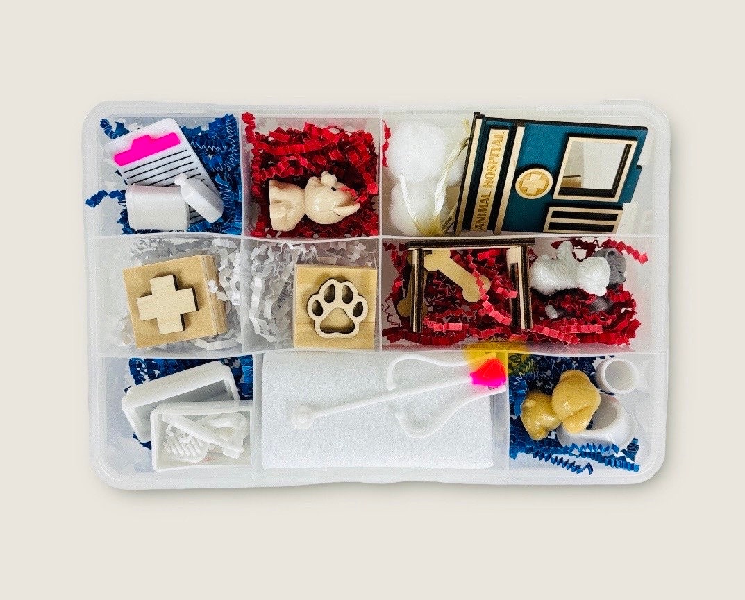 Animal Hospital Busy Box, Educational Toys for Kids, Interactive Play Set, Veterinary Play Dough Box, Kinetic Sand Kit