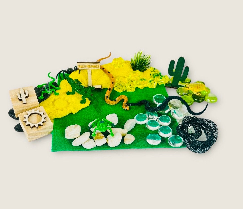 Reptile Play Dough Sensory Kit, Kinetic Sand Bin, Lizard Sensory Kit, Snake Busy Box, Educational Adventure Toy boxes, Gifts for Boys